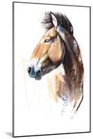 Desert Spirit (Przewalski), 2013-Mark Adlington-Mounted Giclee Print