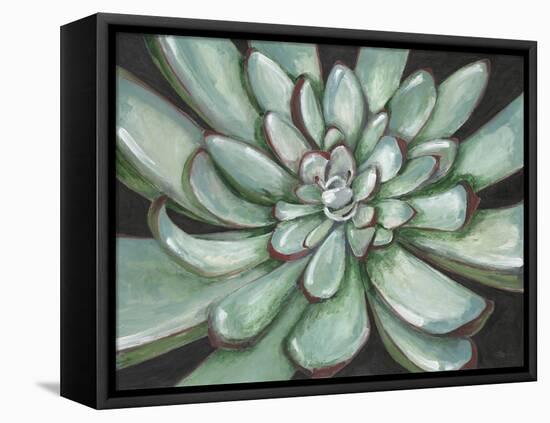 Desert Succulent-Filippo Ioco-Framed Stretched Canvas