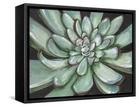 Desert Succulent-Filippo Ioco-Framed Stretched Canvas