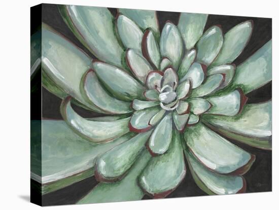 Desert Succulent-Filippo Ioco-Stretched Canvas