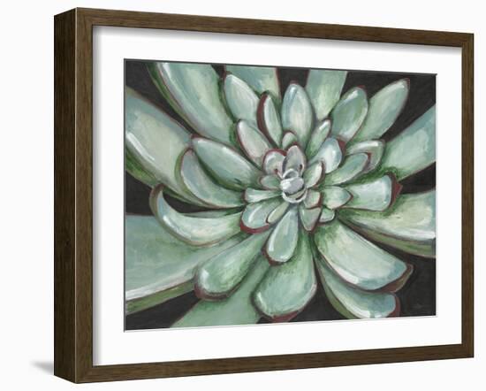 Desert Succulent-Filippo Ioco-Framed Art Print