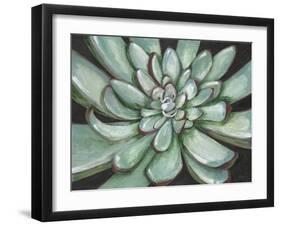 Desert Succulent-Filippo Ioco-Framed Art Print
