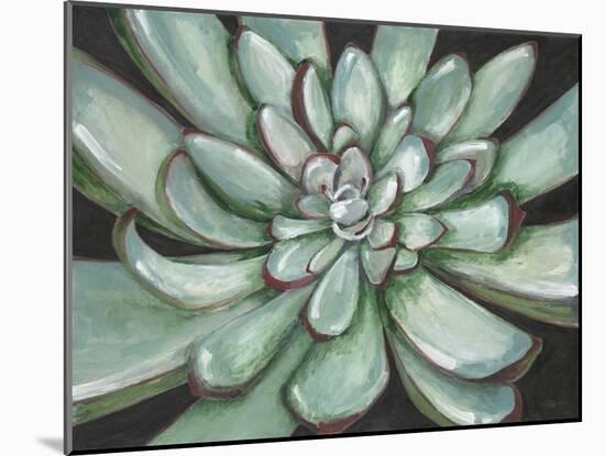 Desert Succulent-Filippo Ioco-Mounted Art Print