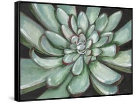 Desert Succulent-Filippo Ioco-Framed Stretched Canvas