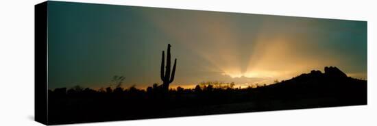 Desert Sun Beams, Near Phoenix, Arizona, USA-null-Stretched Canvas