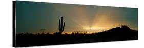 Desert Sun Beams, Near Phoenix, Arizona, USA-null-Stretched Canvas