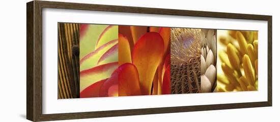 Desert Sun-Mary Karla-Framed Giclee Print