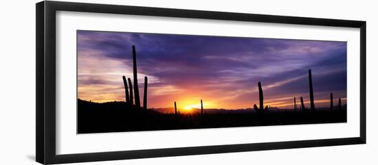 Desert Sunset Saguaro National Park Az-null-Framed Photographic Print