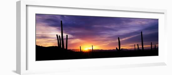 Desert Sunset Saguaro National Park Az-null-Framed Photographic Print