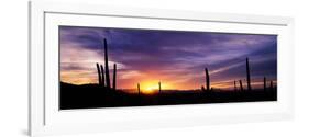 Desert Sunset Saguaro National Park Az-null-Framed Photographic Print