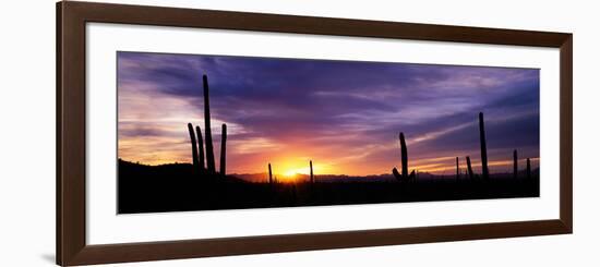 Desert Sunset Saguaro National Park Az-null-Framed Photographic Print