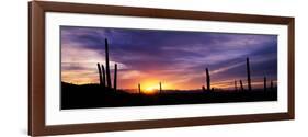 Desert Sunset Saguaro National Park Az-null-Framed Photographic Print