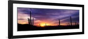Desert Sunset Saguaro National Park Az-null-Framed Photographic Print