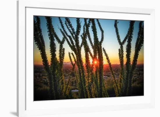 Desert Sunset through Cactus Tree over Phoenix,Az-BCFC-Framed Photographic Print