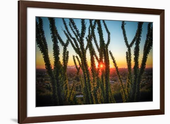 Desert Sunset through Cactus Tree over Phoenix,Az-BCFC-Framed Photographic Print