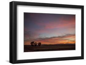 Desert Sunset-Aaron Matheson-Framed Photographic Print