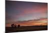 Desert Sunset-Aaron Matheson-Mounted Photographic Print