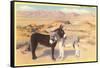 Desert Sweethearts, Nuzzling Burros-null-Framed Stretched Canvas