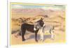 Desert Sweethearts, Nuzzling Burros-null-Framed Premium Giclee Print