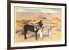 Desert Sweethearts, Nuzzling Burros-null-Framed Premium Giclee Print