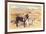 Desert Sweethearts, Nuzzling Burros-null-Framed Premium Giclee Print