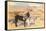 Desert Sweethearts, Nuzzling Burros-null-Framed Stretched Canvas