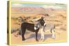 Desert Sweethearts, Nuzzling Burros-null-Stretched Canvas