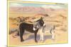 Desert Sweethearts, Nuzzling Burros-null-Mounted Art Print