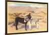 Desert Sweethearts, Nuzzling Burros-null-Framed Art Print