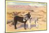 Desert Sweethearts, Nuzzling Burros-null-Mounted Art Print