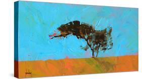 Desert Tree-Paul Bailey-Stretched Canvas