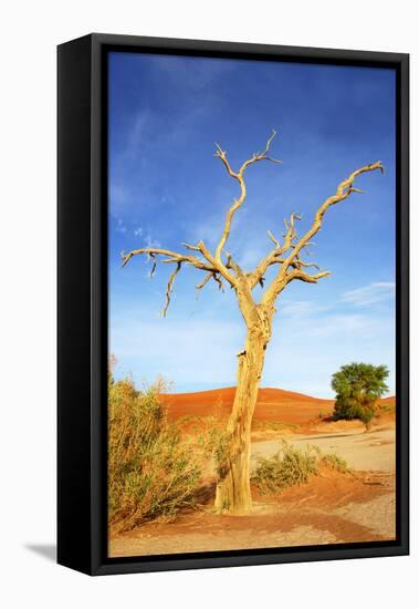 Desert Tree-tish1-Framed Stretched Canvas