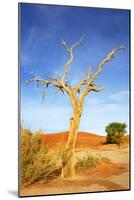 Desert Tree-tish1-Mounted Photographic Print