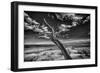 Desert Tree-Linden Sally-Framed Art Print