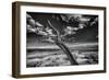 Desert Tree-Linden Sally-Framed Premium Giclee Print