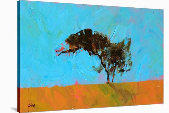 Desert Tree-Paul Bailey-Stretched Canvas