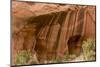 Desert varnish' on red Wingate sandstone, Long Canyon, Grand Staircase-Escalante National Monument-Bob Gibbons-Mounted Photographic Print