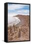 Desert Vegetation on Incahuasi Island in Salar De Uyuni, Bolivia-Alberto Loyo-Framed Stretched Canvas