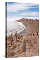 Desert Vegetation on Incahuasi Island in Salar De Uyuni, Bolivia-Alberto Loyo-Stretched Canvas