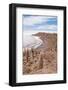 Desert Vegetation on Incahuasi Island in Salar De Uyuni, Bolivia-Alberto Loyo-Framed Photographic Print