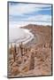 Desert Vegetation on Incahuasi Island in Salar De Uyuni, Bolivia-Alberto Loyo-Mounted Photographic Print