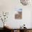 Desert Vegetation on Incahuasi Island in Salar De Uyuni, Bolivia-Alberto Loyo-Photographic Print displayed on a wall