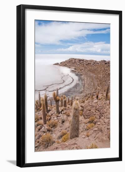 Desert Vegetation on Incahuasi Island in Salar De Uyuni, Bolivia-Alberto Loyo-Framed Photographic Print