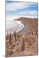 Desert Vegetation on Incahuasi Island in Salar De Uyuni, Bolivia-Alberto Loyo-Mounted Photographic Print