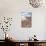 Desert Vegetation on Incahuasi Island in Salar De Uyuni, Bolivia-Alberto Loyo-Mounted Photographic Print displayed on a wall