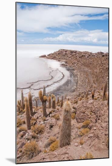 Desert Vegetation on Incahuasi Island in Salar De Uyuni, Bolivia-Alberto Loyo-Mounted Photographic Print