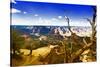 Desert view - Grand Canyon - National Park - Arizona - United States-Philippe Hugonnard-Stretched Canvas