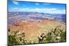 Desert view - Grand Canyon - National Park - Arizona - United States-Philippe Hugonnard-Mounted Premium Photographic Print