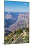 Desert View Point over the Grand Canyonarizona, United States of America, North America-Michael Runkel-Mounted Photographic Print