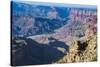 Desert View Point over the Grand Canyonarizona, United States of America, North America-Michael Runkel-Stretched Canvas